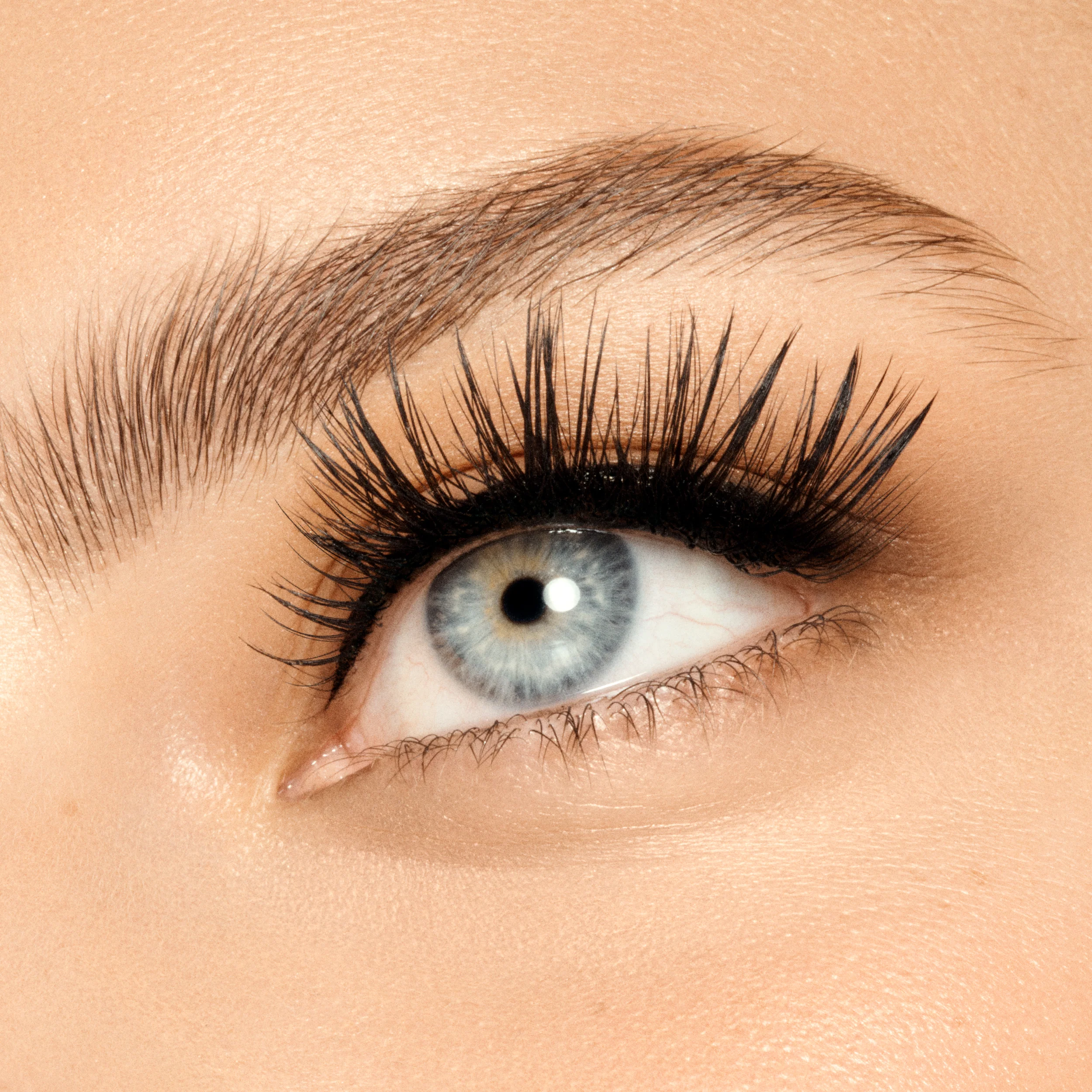 Full Lash - Image 2