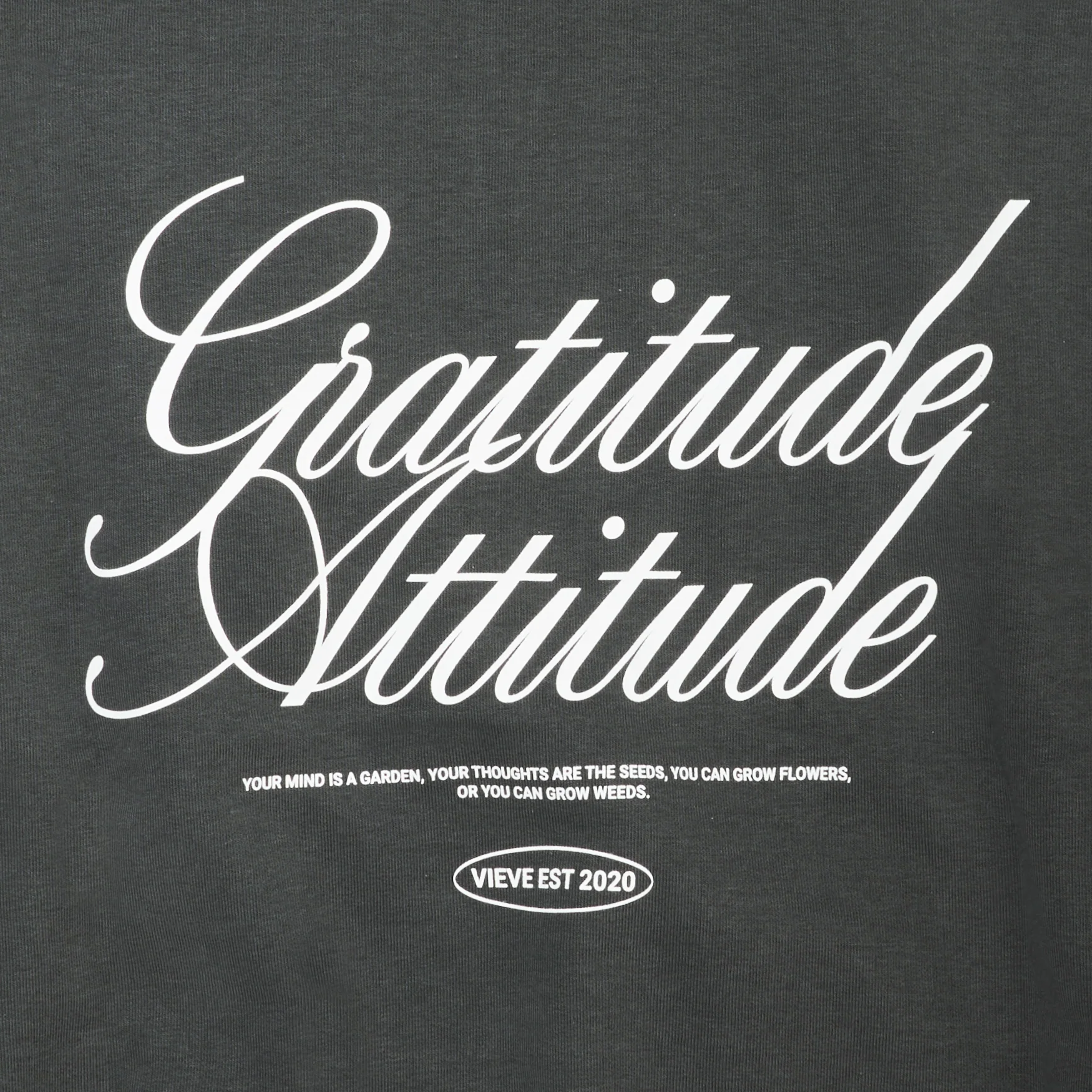 VIEVE Gratitude Attitude Hoodie - Image 3